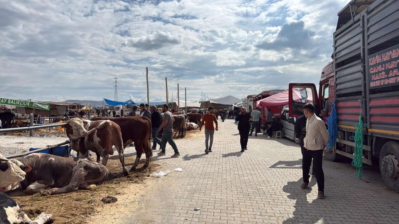 Konya’da arefe yoğunluğu! Kurban pazarlarında sıkı pazarlık yapılıyor 15